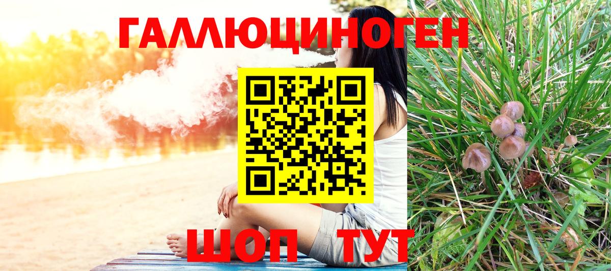 наркота  Псилоцибиновые грибы прущие грибы  Вход с VPN  Углич 